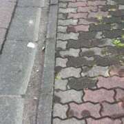 ヒメ日記 2025/05/25 15:08 投稿 あき チューリップ土浦店