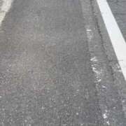 ヒメ日記 2025/06/23 06:18 投稿 あき チューリップ土浦店