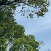 ヒメ日記 2025/07/01 11:18 投稿 あき チューリップ土浦店