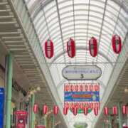 ヒメ日記 2025/07/07 06:48 投稿 あき チューリップ土浦店