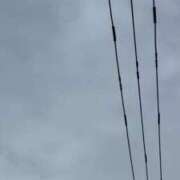 ヒメ日記 2025/09/24 06:18 投稿 あき チューリップ土浦店