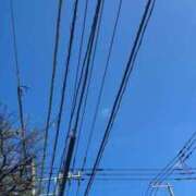 ヒメ日記 2025/09/25 06:18 投稿 あき チューリップ土浦店