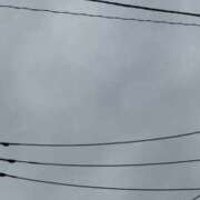 ヒメ日記 2025/10/01 06:18 投稿 あき チューリップ土浦店