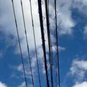 ヒメ日記 2025/10/30 06:18 投稿 あき チューリップ土浦店