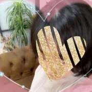 ヒメ日記 2026/03/11 18:51 投稿 ちはる ぷるるん小町 京橋店