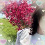 ちはる わたしの相棒が…✨ ぷるるん小町 京橋店