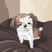 ヒメ日記 2026/03/11 18:29 投稿 ことは【体験入店】 ソープランド AQUA（アクア）