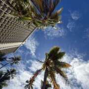 ヒメ日記 2025/08/22 10:53 投稿 あいね 新横浜ちゃんこ