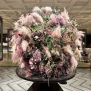 ヒメ日記 2025/06/11 12:28 投稿 すずね 東京人妻セレブリティ（ユメオト）