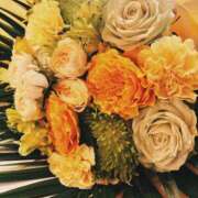 ヒメ日記 2025/08/05 03:52 投稿 すずね 東京人妻セレブリティ（ユメオト）