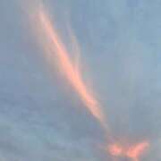 ヒメ日記 2025/08/07 23:12 投稿 すずね 東京人妻セレブリティ（ユメオト）