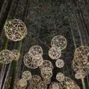 ヒメ日記 2025/11/05 16:46 投稿 のぞみ Evolution 2nd