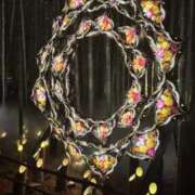 ヒメ日記 2025/11/18 13:02 投稿 のぞみ Evolution 2nd