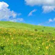 ヒメ日記 2025/07/07 19:30 投稿 りお Number Five 品川（シンデレラグループ）