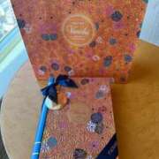 ヒメ日記 2026/01/11 17:01 投稿 りお Number Five 品川（シンデレラグループ）