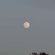 ヒメ日記 2026/01/13 19:42 投稿 りお Number Five 品川（シンデレラグループ）