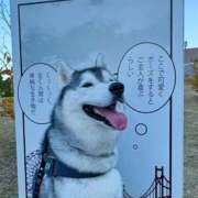 はる ちょっと触れたくなる距離感🫂 変態ドットコム～即尺痴女伝説