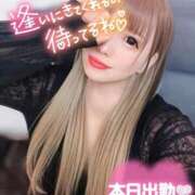 ヒメ日記 2026/04/05 11:05 投稿 ゆうき 変態ドットコム～即尺痴女伝説