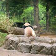 ヒメ日記 2025/11/09 05:07 投稿 りんな モアグループ神栖人妻花壇