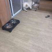 ヒメ日記 2025/11/14 11:31 投稿 りんな モアグループ神栖人妻花壇