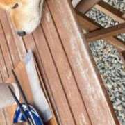 ヒメ日記 2025/11/16 18:11 投稿 りんな モアグループ神栖人妻花壇