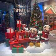 ヒメ日記 2025/12/24 11:44 投稿 りんな モアグループ神栖人妻花壇