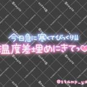ヒメ日記 2026/02/08 15:24 投稿 りんな モアグループ神栖人妻花壇