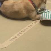 ヒメ日記 2026/02/26 13:42 投稿 りんな モアグループ神栖人妻花壇