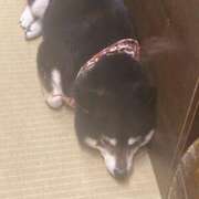 ヒメ日記 2026/03/10 14:56 投稿 りんな モアグループ神栖人妻花壇