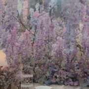 ヒメ日記 2025/07/09 21:15 投稿 しゅう レモンカフェ