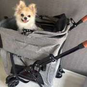 ヒメ日記 2025/09/09 20:53 投稿 しゅう レモンカフェ