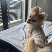 ヒメ日記 2025/09/20 19:15 投稿 しゅう レモンカフェ