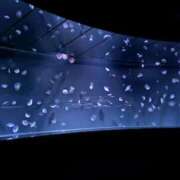 ヒメ日記 2025/10/17 17:09 投稿 しゅう レモンカフェ