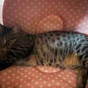 しゅう 12/9 レモンカフェ