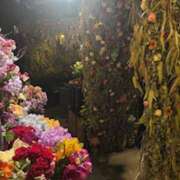 ヒメ日記 2026/01/17 16:16 投稿 しゅう レモンカフェ