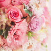 まつり はじめまして！ モアグループ宇都宮人妻花壇