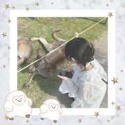 ヒメ日記 2025/08/14 13:36 投稿 小竹あまね【小動物な甘えん坊】 Club Rosa