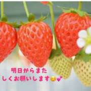 おりえ スタート🎶 バイオレンス