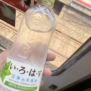 ヒメ日記 2025/05/20 10:49 投稿 のの 大阪和泉ちゃんこ