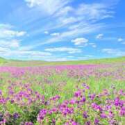 ヒメ日記 2025/07/31 18:32 投稿 多喜川とわ ミセス大阪十三店