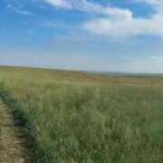 ヒメ日記 2025/08/04 07:05 投稿 多喜川とわ ミセス大阪十三店