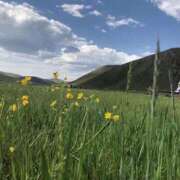 ヒメ日記 2025/08/07 21:47 投稿 多喜川とわ ミセス大阪十三店