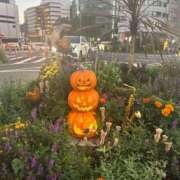 ヒメ日記 2025/10/09 21:06 投稿 多喜川とわ ミセス大阪十三店