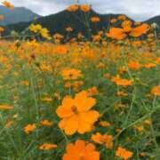 ヒメ日記 2025/10/14 10:05 投稿 多喜川とわ ミセス大阪十三店