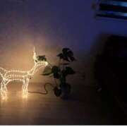 ヒメ日記 2025/11/14 20:46 投稿 多喜川とわ ミセス大阪十三店