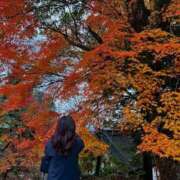 ヒメ日記 2025/11/26 21:53 投稿 多喜川とわ ミセス大阪十三店