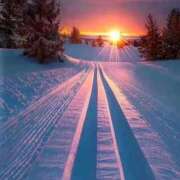 ヒメ日記 2026/02/19 06:51 投稿 多喜川とわ ミセス大阪十三店