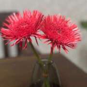 ヒメ日記 2026/03/05 07:16 投稿 多喜川とわ ミセス大阪十三店