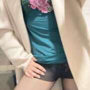 ヒメ日記 2026/03/11 11:43 投稿 多喜川とわ ミセス大阪十三店