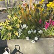 ヒメ日記 2026/03/16 19:49 投稿 多喜川とわ ミセス大阪十三店